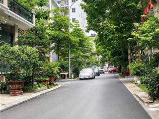 29,5 tỷ linh langba đình 85m*5m mt oto tránh kinh doanh đỉnh cao phố vip 3 mặt thoáng sổ vuông đẹp