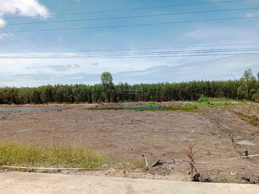 Bán đất thổ gần 500m2  chính chủ  có sổ hồng riêng