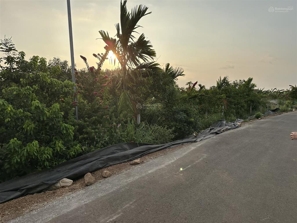 Bđs đón đầu đường kết nối sân bay long thành