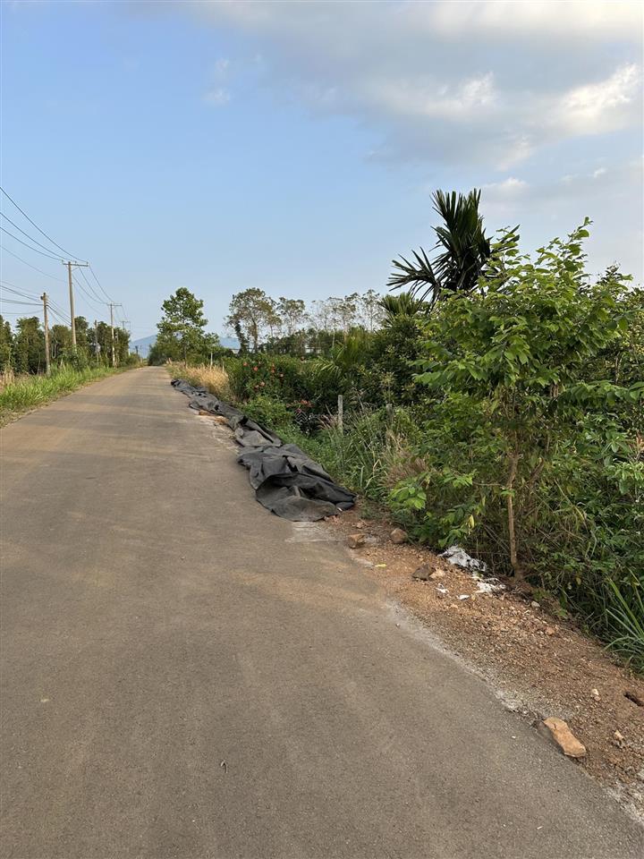 Bđs đón đầu đường kết nối sân bay long thành
