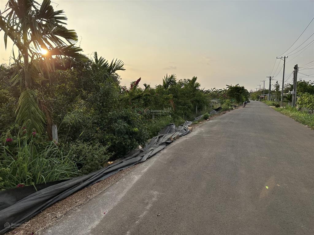 Bđs đón đầu đường kết nối sân bay long thành