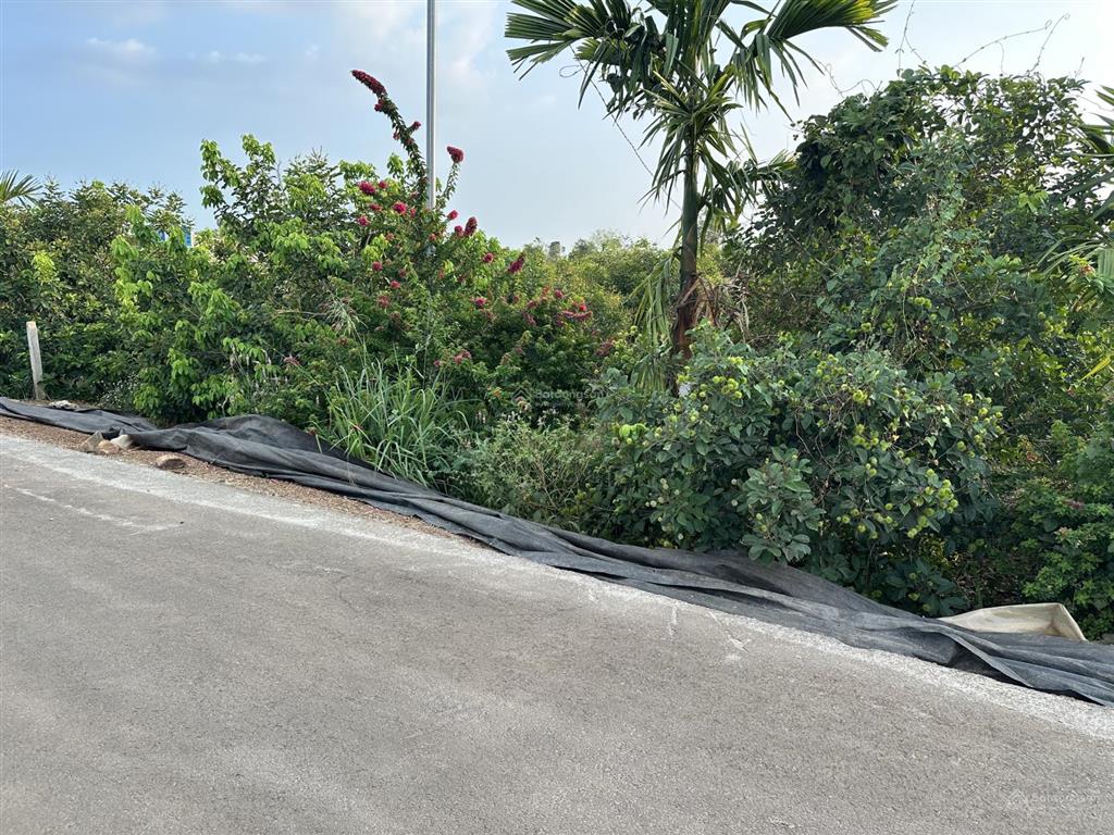 Bđs đón đầu đường kết nối sân bay long thành