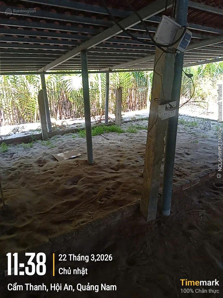 Sốc thật! 3000m² đất hội an  chỉ 1,49 tỷ