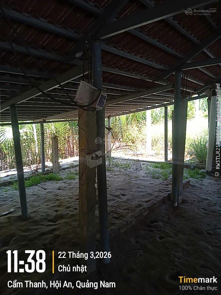 Sốc thật! 3000m² đất hội an  chỉ 1,49 tỷ