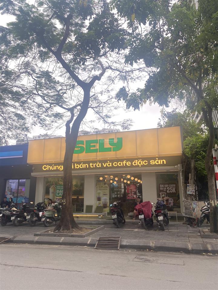 Cho thuê mặt phố xuân diệu mt 9m vị trí đẹp tây hồ diện tích  t1 100m2