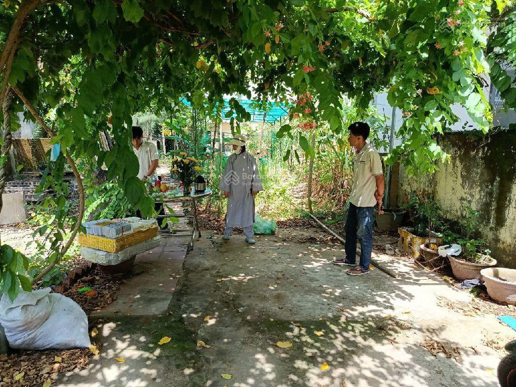Gấp bán đất vuông đẹp hòa hải gần fpt ngang hơn 10m 479m2 phù hợp xây căn hộ biệt thự, chỉ 15.5tỷ