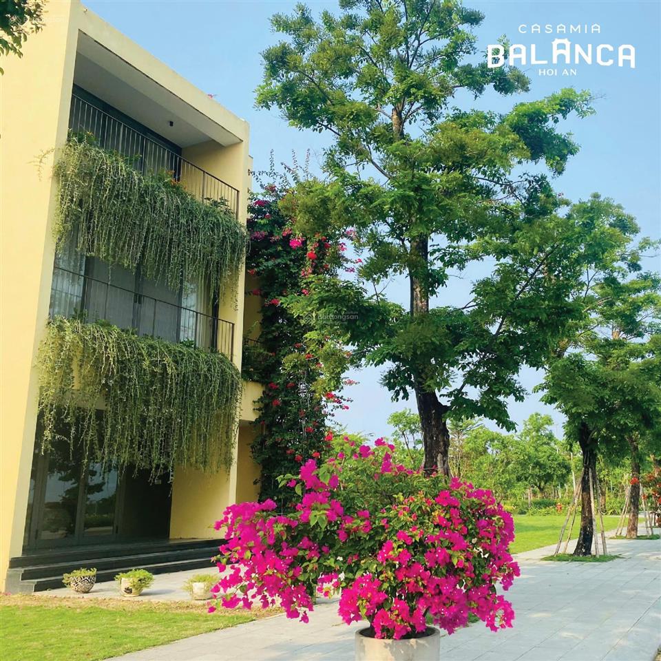 Casamia balanca hội an, biệt thự xanh giữ lòng di sản