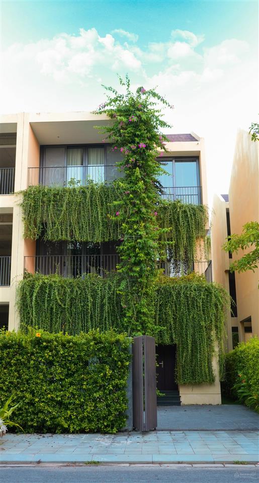 Chính chủ cần bán căn biệt thự xanh giữa lòng di sản với mức giá cực hấp dẫn