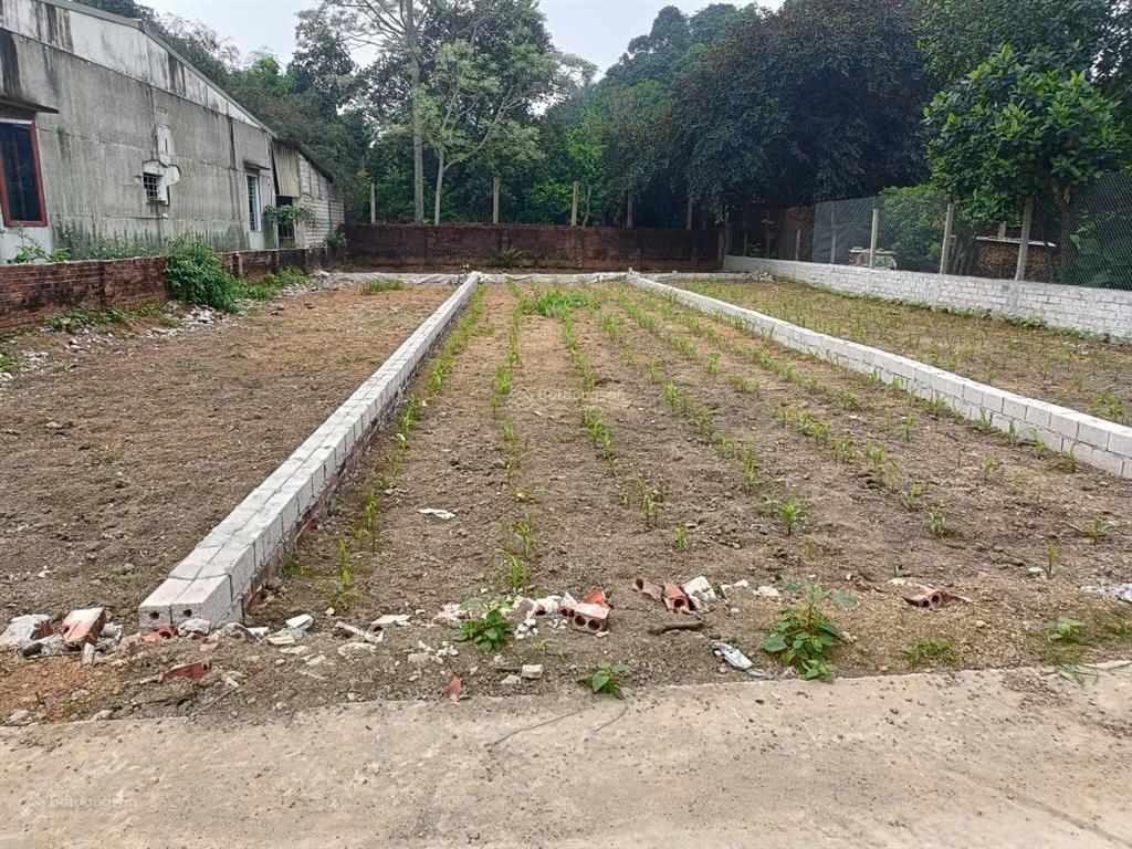 Chính chủ cần chuyển nhượng lô đất tặng kèm nhà cấp 4, diện tích 76m2, giá chỉ nhỉnh 2tỷ tại tân xã