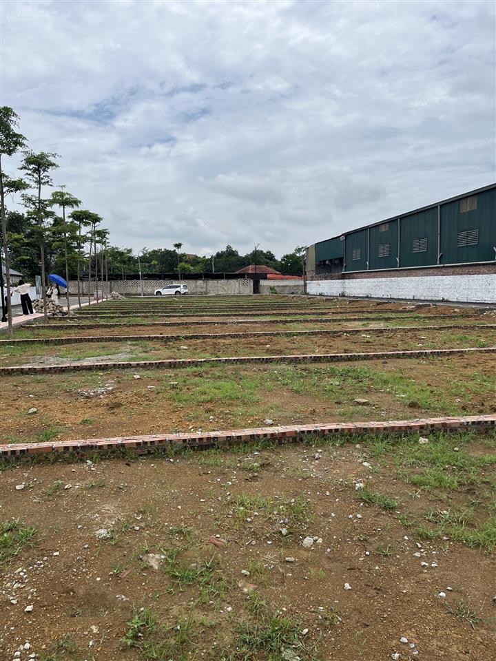 Chính chủ cần bán gấp lô đất 67m2 sổ đỏ full thổ cư, giá chỉ nhỉnh 3 tỉ