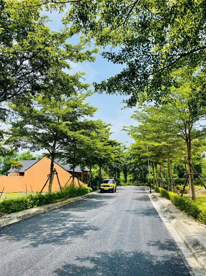 Có mảnh ở khu đô thị hơn 100m2 cần bán. đất ngay phú cát mới
