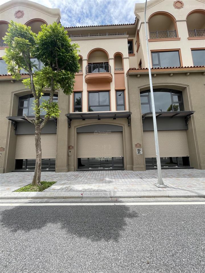 Bán bt siêu hot ở vinhomes royal island, 11,7 tỷ, 94m2, 4wc, 4 tầng