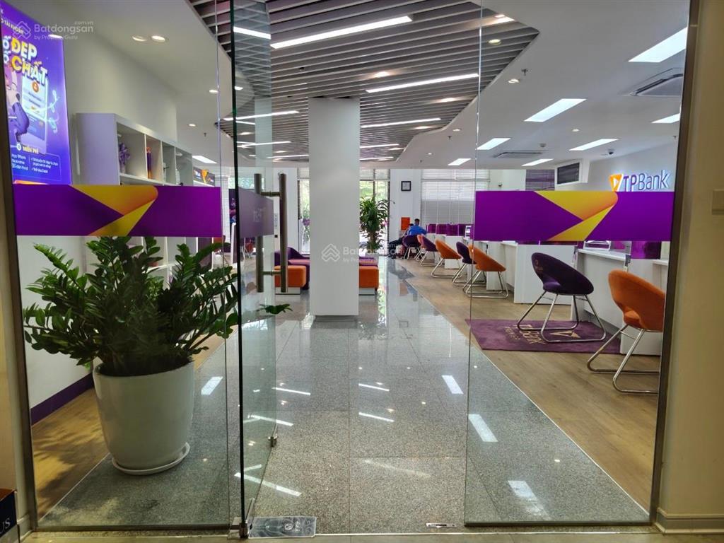 Tòa building lô góc mặt phố hoàng quốc việt 344m + 8 tầng + dòng tiền 6 tỷ/năm