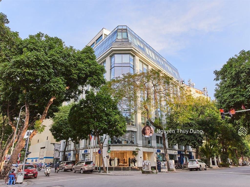 Bql toà nhà cho thuê văn phòng toà leadvisors place 41a lý thái tổ, dt 700m2 có cắt lẻ, giá ưu đãi