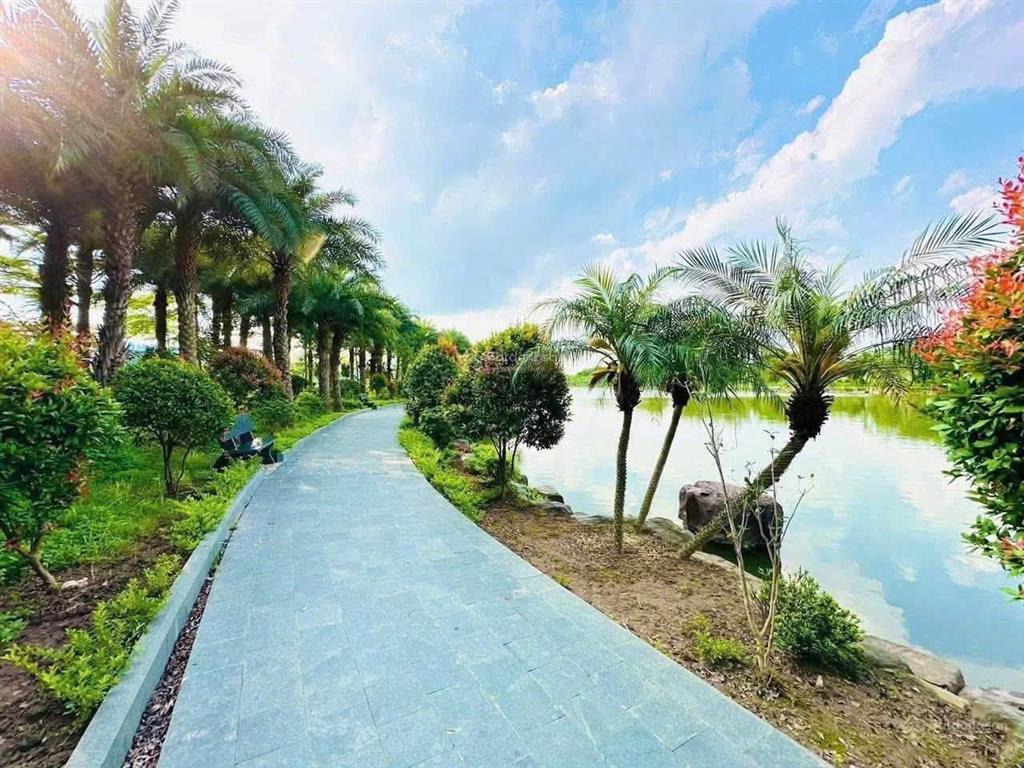 Chính chủ bán bt vườn hồng từ sơn  bắc ninh, giá rẻ như thổ cư chỉ 4x tr/m2