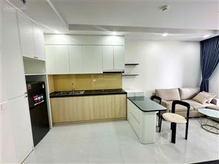 Thuê 7.5tr/tháng căn 1pn 47m2 full nội thất cao cấp xịn sò a&t sky garden thuận an