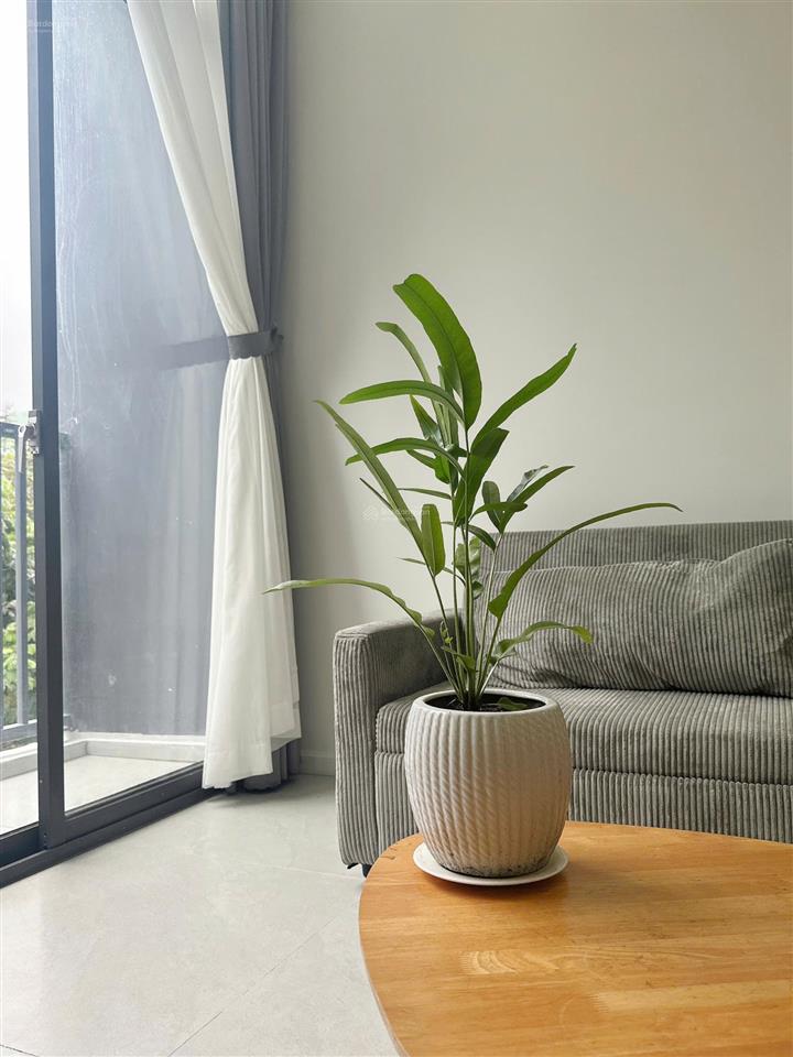 Cho thuê officetel sky9 1pn 1wc, sàn 37m² + gác 15m², nội thất mới, 9 triệu/tháng