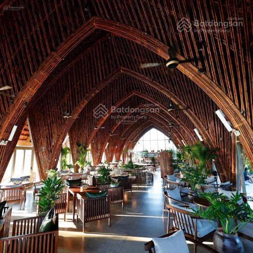 Bán villa  casamia hội an  giá 14,3 tỷ 187,6m2 | khai thác ngay