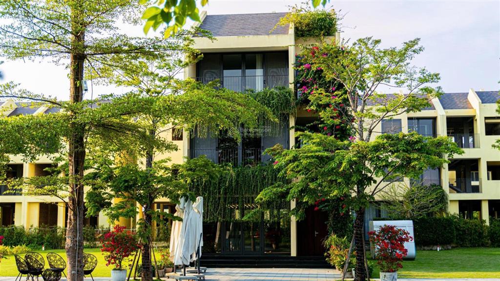 Cần bán gấp căn biệt thự ở hội an cạnh ngay rừng dừa bảy mẫu  3 tầng  4pn  13,8tyr