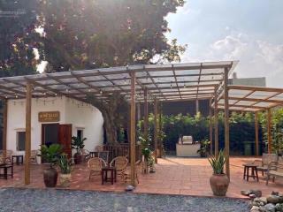 Mặt bằng kinh doanh đường huỳnh thị nhỏ