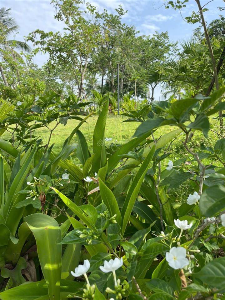 Cần sang nhượng căn góc biệt thự ven sông hội an chưa qua đầu tư