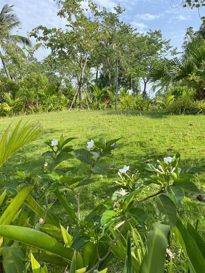 Cần sang nhượng căn góc biệt thự ven sông hội an chưa qua đầu tư