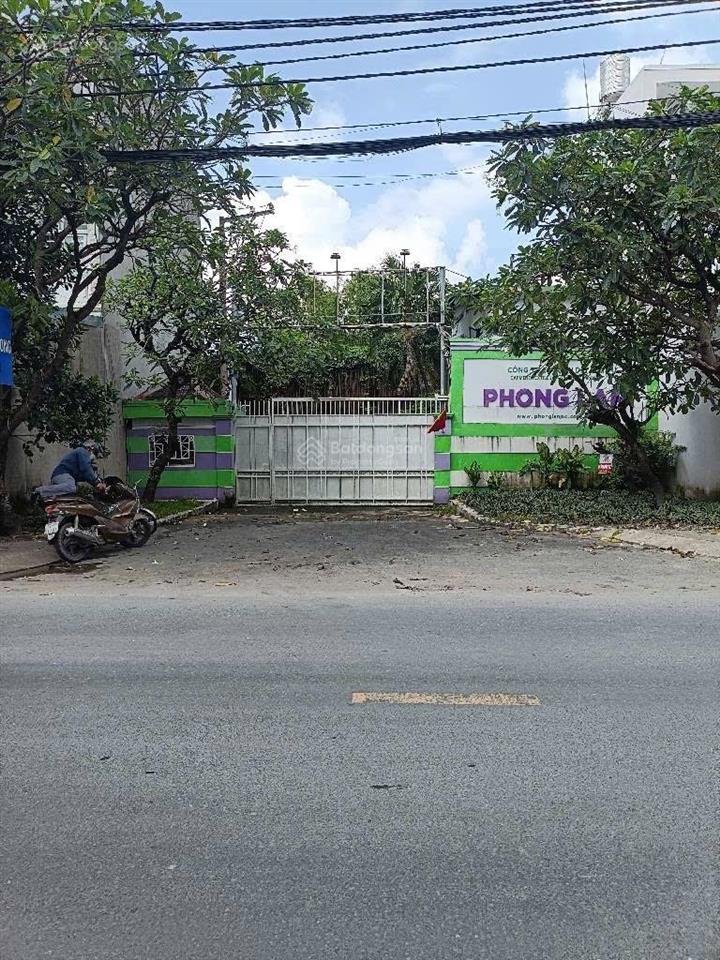 Bán đất 270m² (tặng nhà cấp 4) đường trần văn mười  chỉ 5,4 tỷ tl