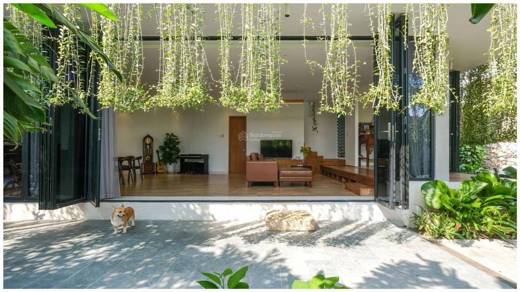 Bán nhà phố phú gia 120m sân vườn, ngõ ô tô, lô góc, hàng xóm bộ trưởng