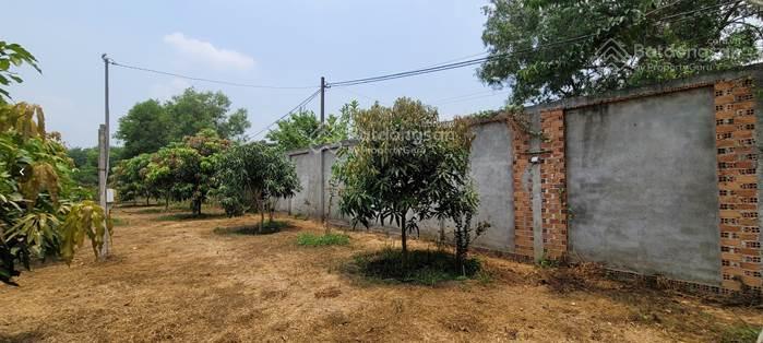 Bán nhà vườn trồng cây ăn trái, nhuận đức, củ chi