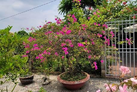 Bán hoặc cho thuê nhà vườn xã nhuận đức, củ chi.