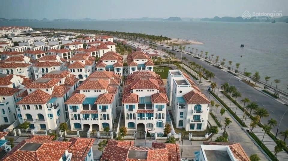 Bán gấp căn song lập dt 206m² giá chỉ 22,x tỷ/căn dự án sun feria bãi cháy mặt vịnh hạ long