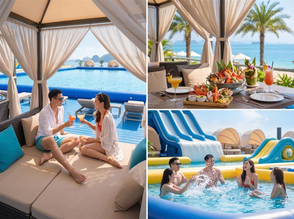 Hàng hot tháng 8 quỹ căn vinhomes hạ long xanh