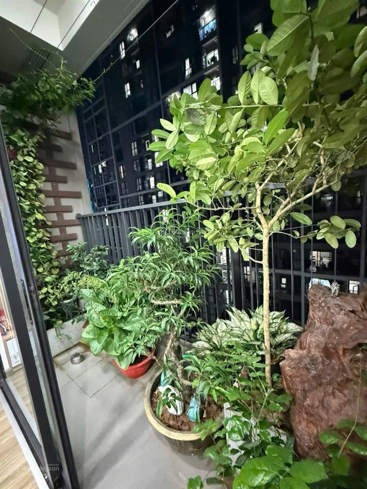 Bán căn 2n+ canopy. 75m2 full đồ đẹp an cường . vào ở luôn giá 6,2 tỷ .  tuấn 0392 969 ***