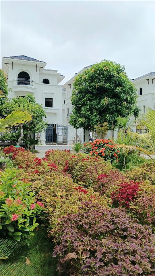 Bán biệt thự vườn cam vinapol 200m2, đường 20,5m, giá 32 tỷ