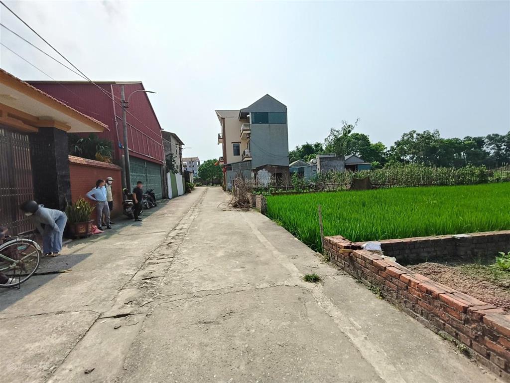 Cực phẩm biểu khê, thụy lâm, đông anh  sát vin liên hà giá đầu tư chỉ 5x triệu/m2.  0963 781 ***