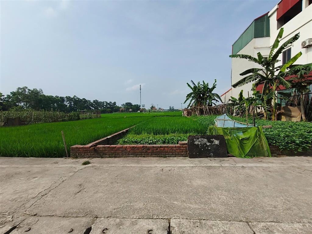 Cực phẩm biểu khê, thụy lâm, đông anh  sát vin liên hà giá đầu tư chỉ 5x triệu/m2.  0963 781 ***