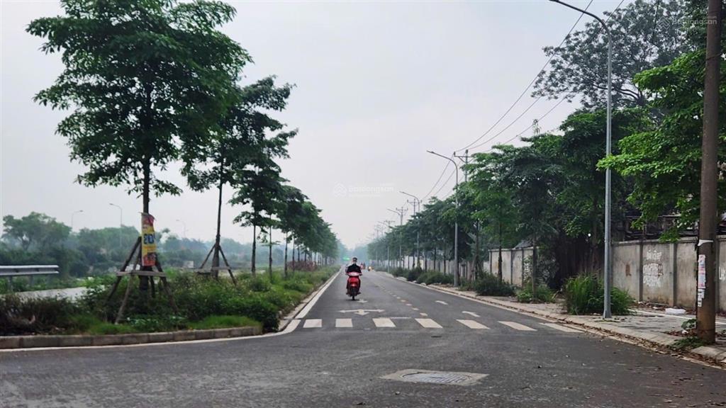 Bán đất tái định cư kim chung, đông anh. dt 120m, mt 9m. hơn 12 tỷ