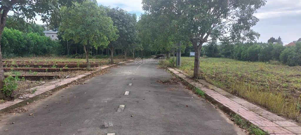 Bán đấu giá quyền sử dụng đất tại xã an viễn