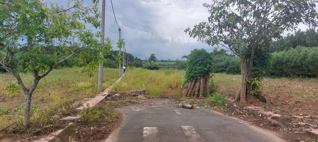 Bán đấu giá quyền sử dụng đất tại xã an viễn