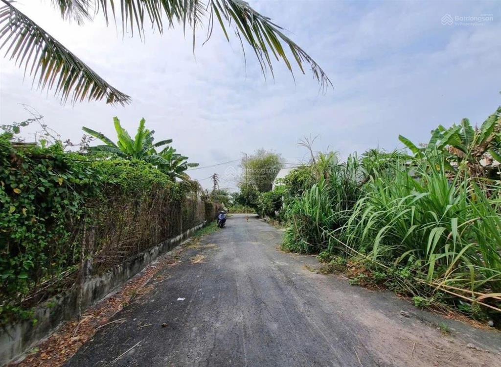Bán nhanh 980 triệu 103m2 đất ngay tỉnh lộ 7 xã thái mỹ, dân cư đông đúc, sổ hồng riêng