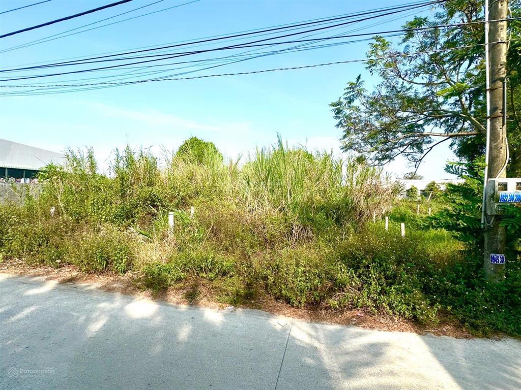 [chính chủ] cần bán lô đất 174m2 mặt tiền hẻm rộng rãi cạnh bên gdtx tỉnh long an từ dt827 đi vào