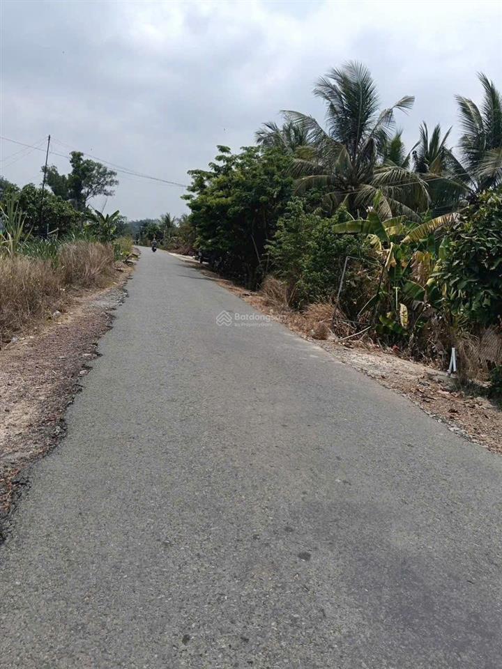 Tôi cần bán gấp lô đất để về quê ở đường trung lập, xã thái mỹ mới 100m2 giá 1 tỷ 2 sổ hồng riêng