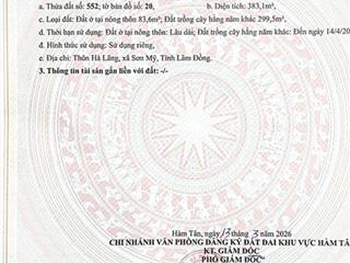 Hàng hiếm tại 331, sơn mỹ, lâm đồng, 1 tỷ, 383.1m2