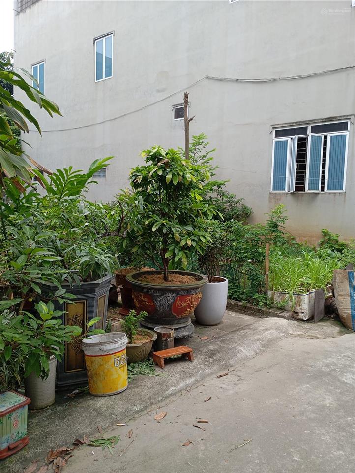 Chính chủ gửi bán mảnh đất vàng tại khu tập thể quân đội x80, đông anh
