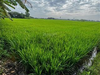 Bán gấp đất 1953,4m2 tại 43/43b tổ 2, gần agora city , 3,3 tỷ vnd