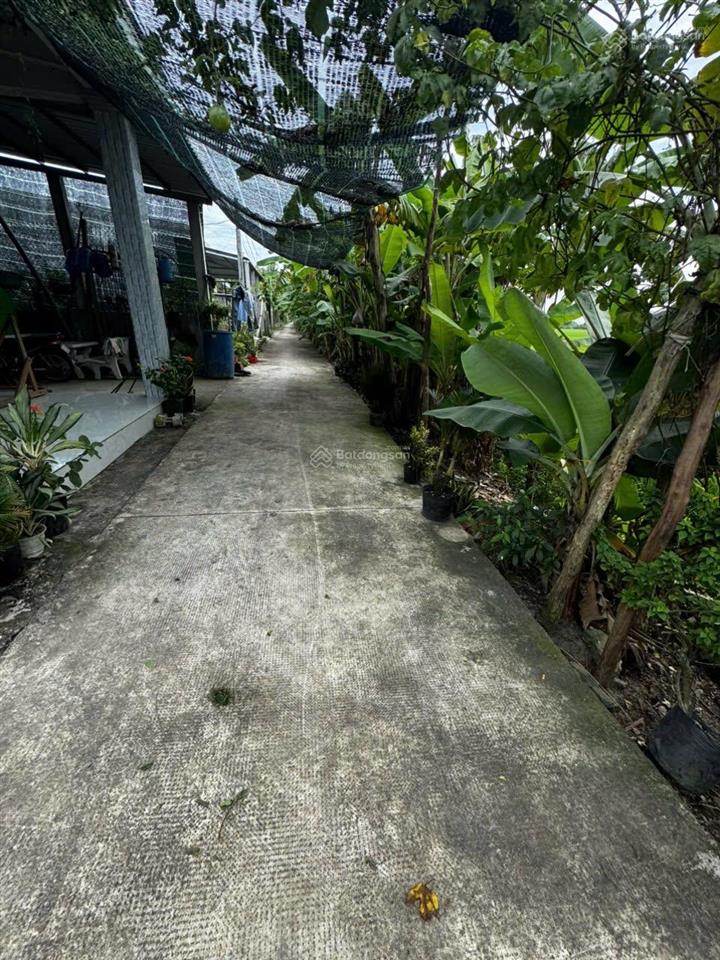 Bán gấp đất 1953,4m2 tại 43/43b tổ 2, gần agora city , 3,3 tỷ vnd