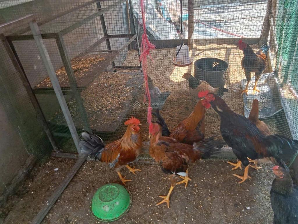 Chủ ngợp bán dãy trọ 8 phòng 180m2 giá 1ty8 cách quốc lộ 200m thuộc tuyến đường basa củ chi .shr