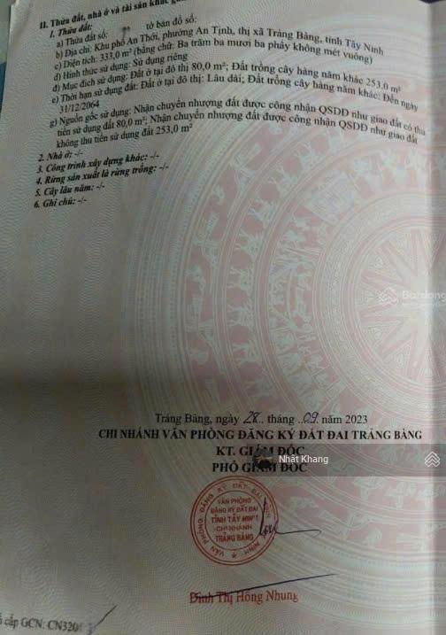 Chủ cần tiền đóng lãi ngân hàng, gửi bán lỗ 333m²  800tr, gần ngay quốc lộ 22 trảng bàng tây ninh