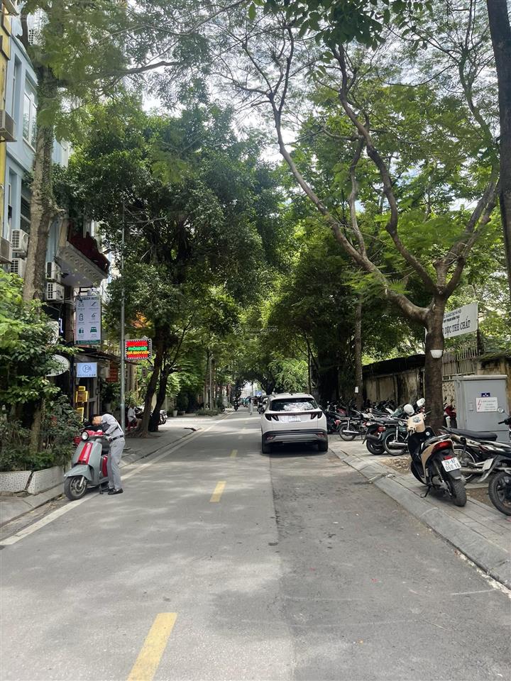 Hàng hiếm ba đình  mặt phố nguyễn văn ngọc  đào tấn  phan kế bính | 55m | giữ tiền cực tốt