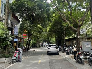 Hàng hiếm ba đình  mặt phố nguyễn văn ngọc  đào tấn  phan kế bính | 55m | giữ tiền cực tốt